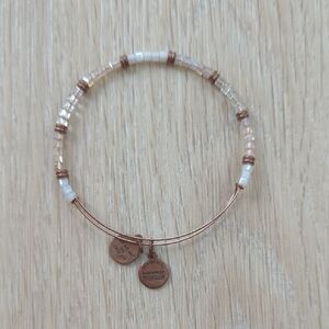 Alex And Ani Layering Bracelet
